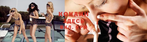 гидра Алексеевка