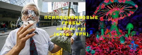 гидра Алексеевка